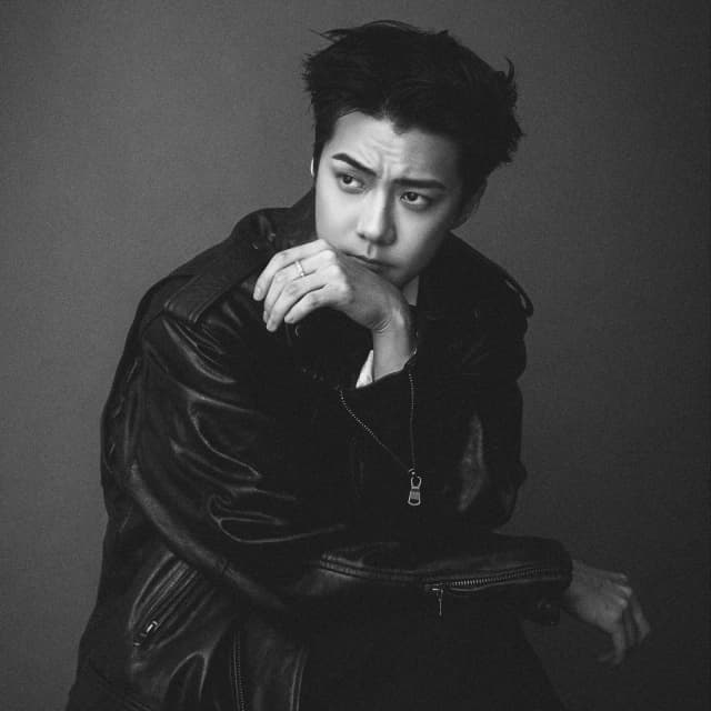 Sehun portrait