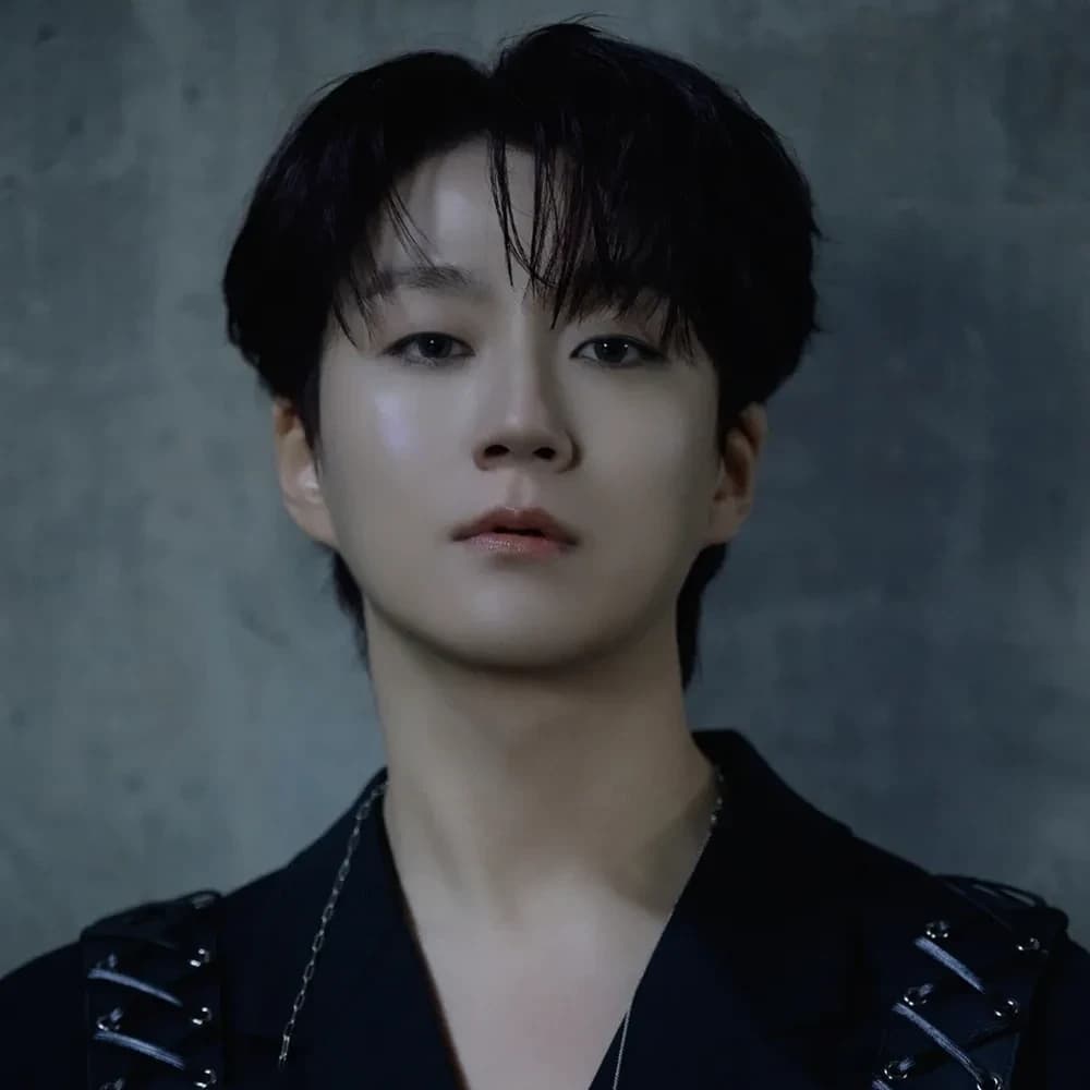 Mingyu portrait