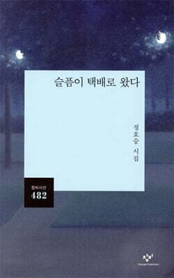 Sadness Arrived by Courier cover