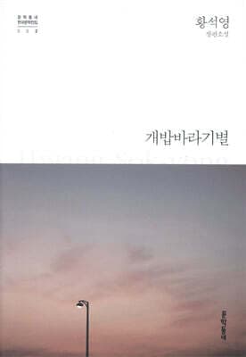 The Evening Star cover