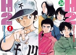 H2 cover