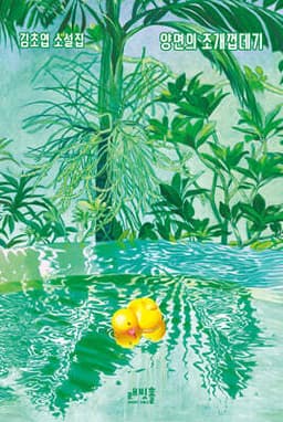 The Shell with Two Sides cover