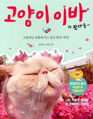 Iba the Cat Has Arrived, Meow cover