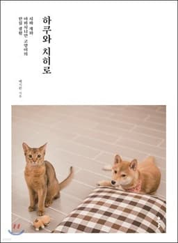 Haku and Chihiro cover