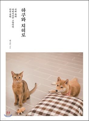 Haku and Chihiro cover