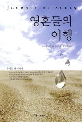 The Journey of Souls cover