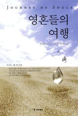 The Journey of Souls cover
