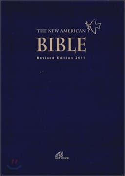 The Bible cover