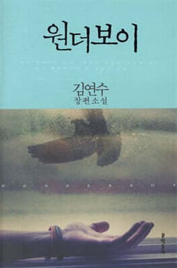 Wonder Boy cover