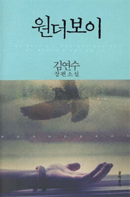 Wonder Boy cover