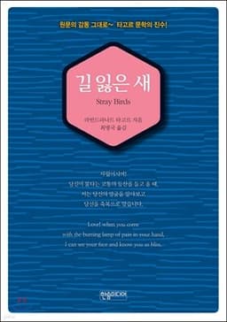 The Lost Bird cover